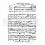 Bach-Fugue in C Minor from WTC arr. Boo-Mal Alternate Picture