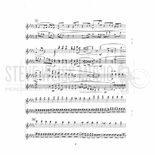 Smith, J.B.-Ringing Webs of Metal Threads(SP)-2V Alternate Picture