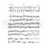 Paliev-Scenes from Bulgaria(2S)-V/M Alternate Picture