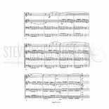 Adams-Sonata Ico (SP)-4-5M Alternate Picture