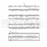 Metzger-Elephant Walk(2S)-M/V Alternate Picture