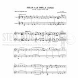 Bach-Sheep May Safely Graze (2S)-2Mall. inst. Alternate Picture