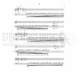 Torchinsky-Paradigma (SP)-V/2M Alternate Picture