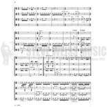 Cals-Puzzle II(S-n4) Alternate Picture