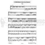 Paliev-Ens Duo de Peaux-Ser 13-18(2S)-SD/2T Alternate Picture