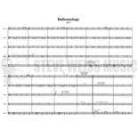 Crockarell-Balloonology (SP)-14 Balloons Alternate Picture