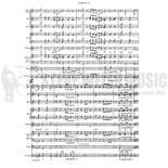 Ebb-Theme from New York, New York (SP)-Faini Alternate Picture