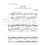 Takemitsu-Cross Hatch V/M S-n2 Alternate Picture