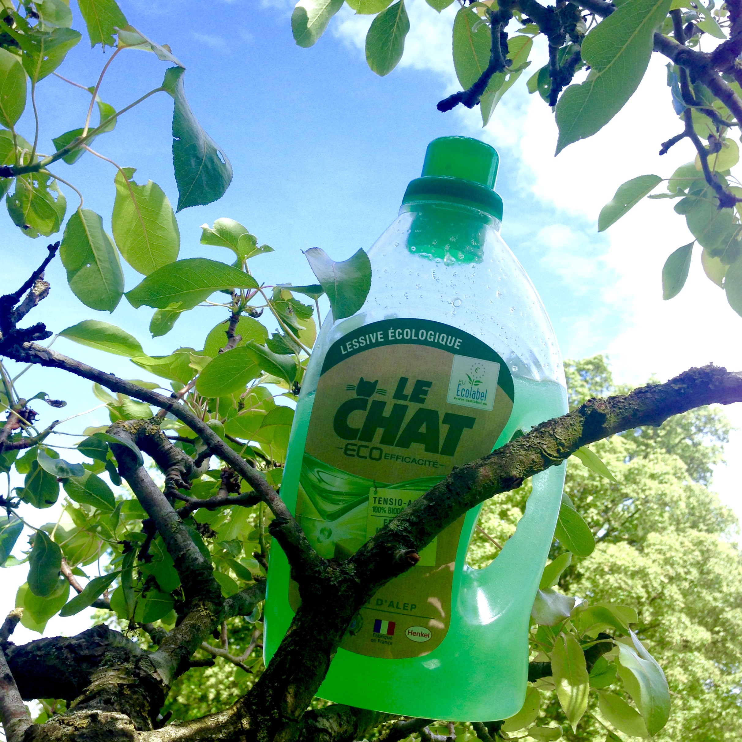 Avis Le Chat Eco Efficacité La Belle Adresse