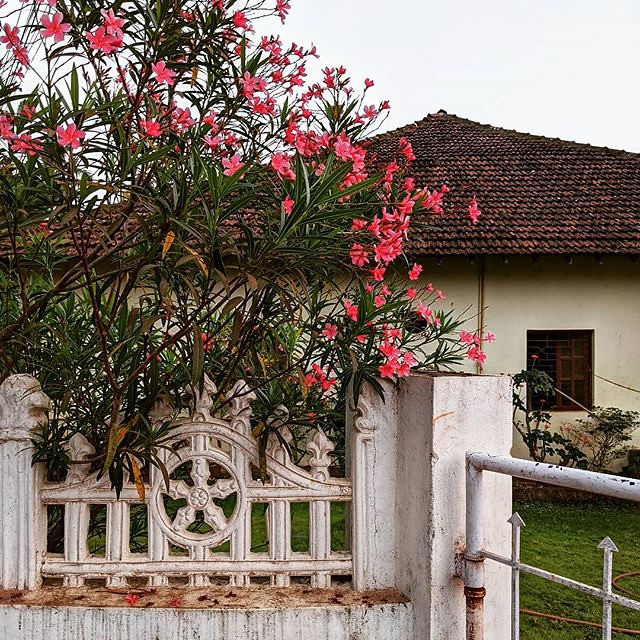Agonda Goa India