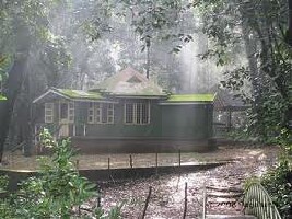 Agumbe