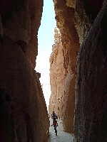 Al Ahsa