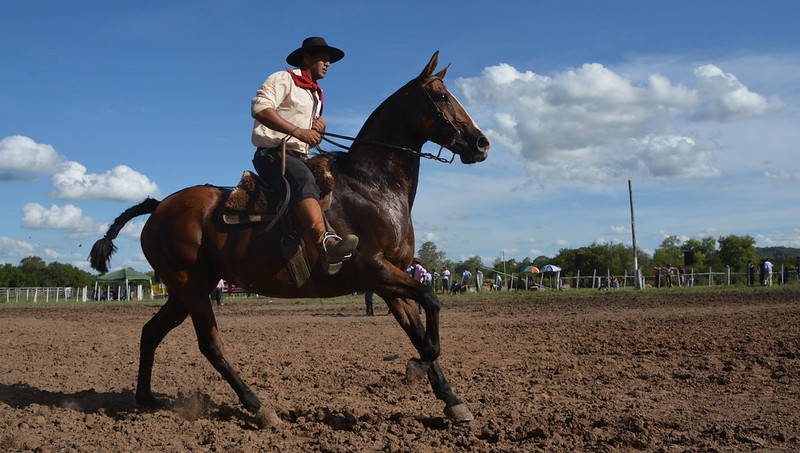 Alegrete  Brazil