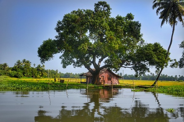 Alleppey  India