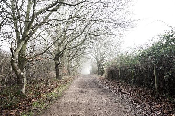 Alton  England