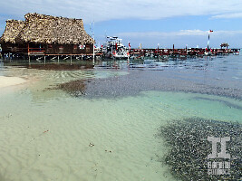 Ambergris Caye