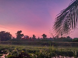 Ampara