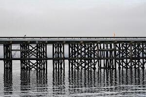Anacortes