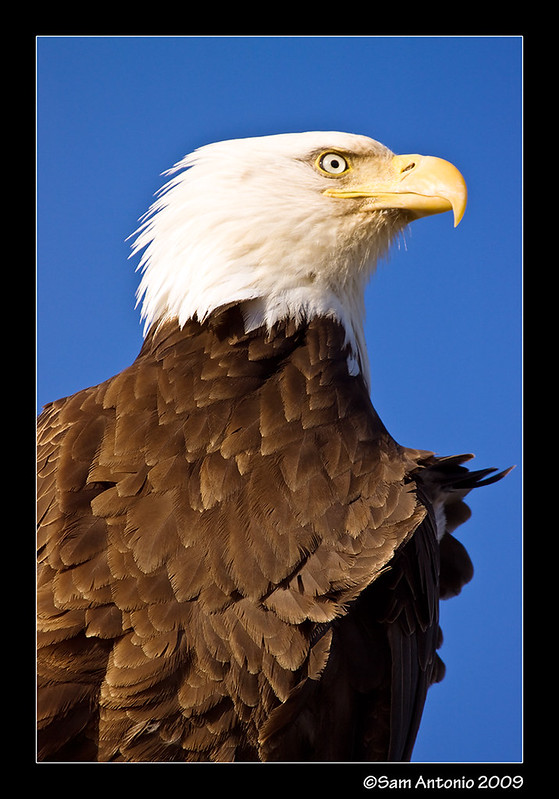 Anchorage Alaska United States