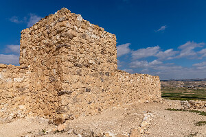 Arad