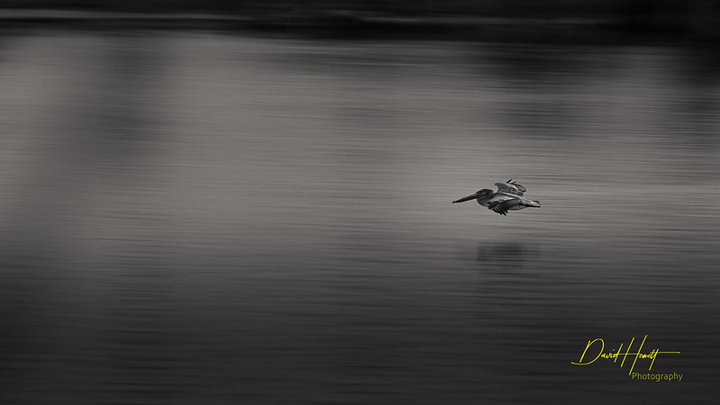 Aransas Pass Texas United States