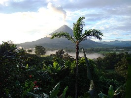 Arenal