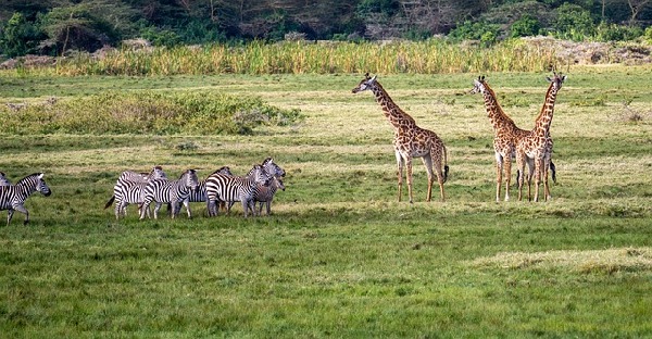 Arusha  Tanzania