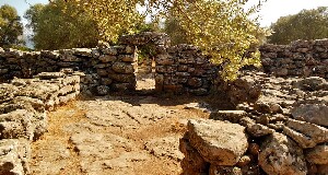 Arzachena