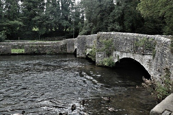 Ashford  England