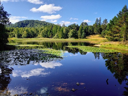 Aviemore  Scotland