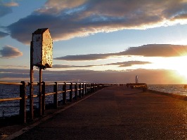 Ayr