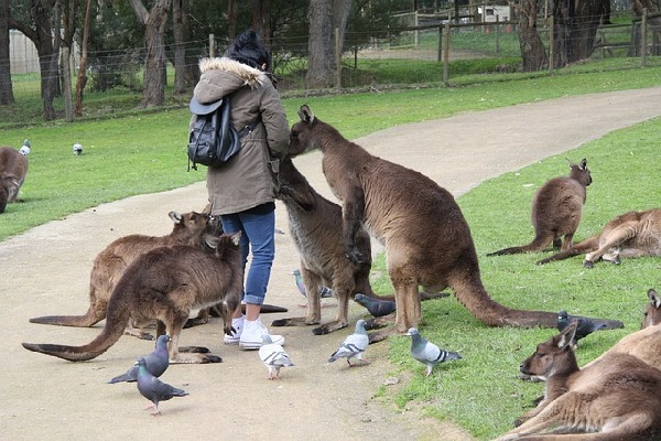 Ballarat  Australia