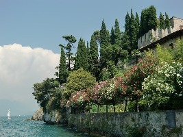 Bardolino