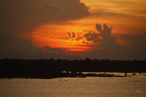 Baripada