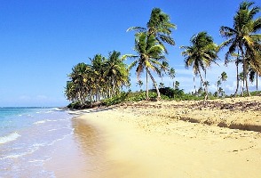 BAVARO