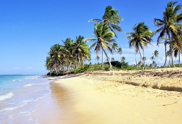 BAVARO  Dominican Republic