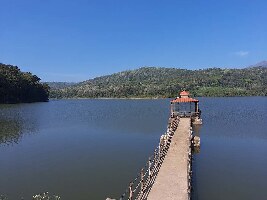 Bellary