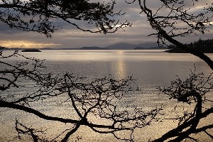 Bellingham