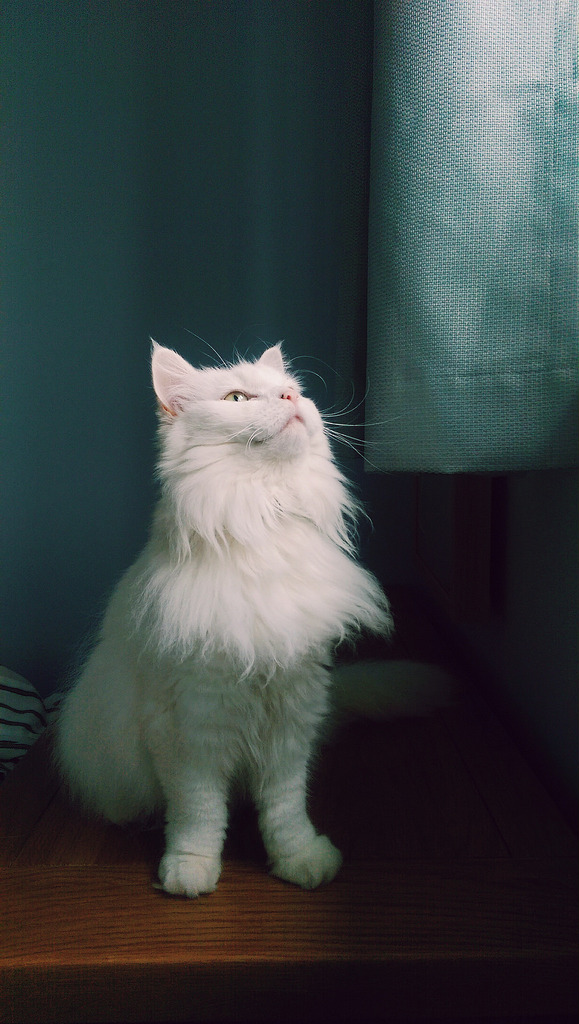 Bicester  United Kingdom