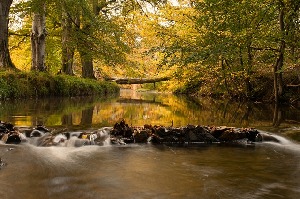 Biggar