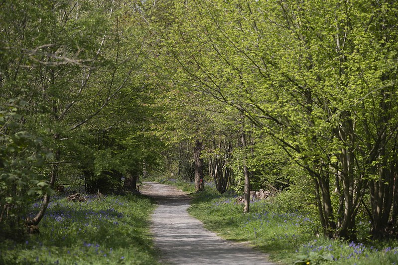 Billericay  England
