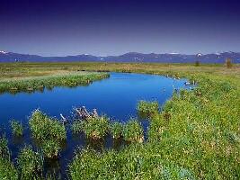 Blue River