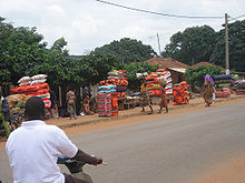 Bohicon  Benin