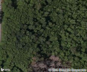 Bow Washington United States