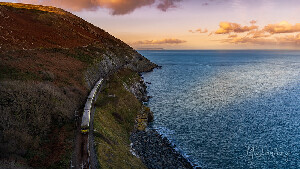 Bray