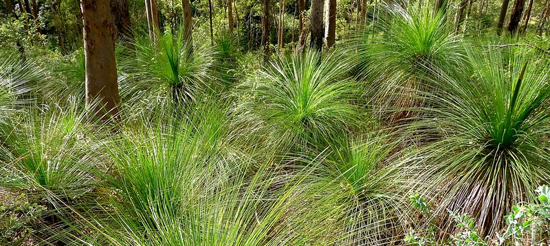 Brisbane Region  Australia