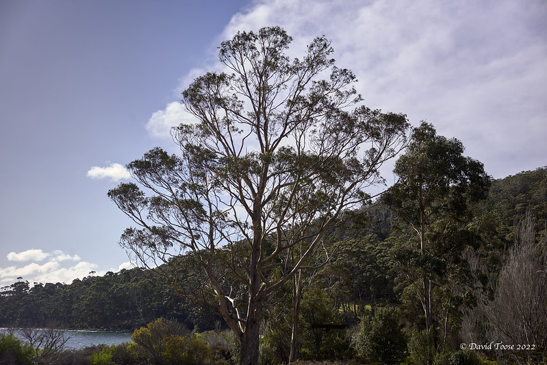 Bruny Island Tasmania Australia