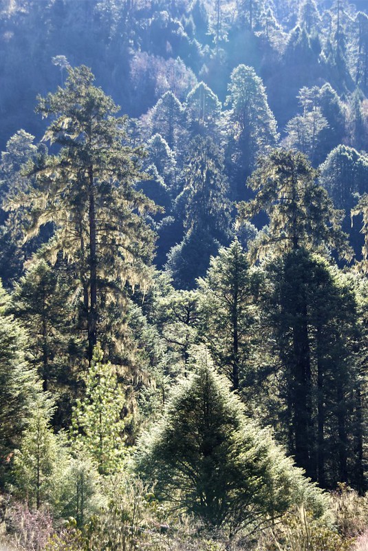 Bumthang  Bhutan
