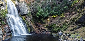Bushkill