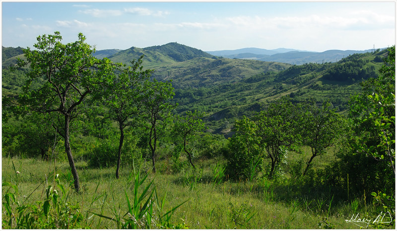 Buzau County  Romania